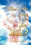 What's the Price for Your Soul? What's the Price for Your Soul?