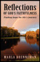Reflections of God's Faithfulness : Finding Hope for Life's Journey