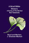A Brief Bible History : A Survey of the Old and New Testaments
