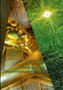 Buddhismus und naturwissenschaftliches Denken : Ein Gesprach