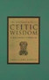 Encyclopaedia of Celtic Wisdom : Celtic Shaman's Sourcebook