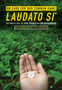 On Care for Our Common Home, Laudato Si' : The Encyclical of Pope Francis on the Environment with Commentary by Sean McDonagh