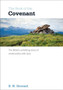 The Book of the Covenant : The Bible's unfolding story of relationship with God