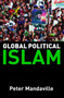 Global Political Islam : International Relations of the Muslim World Textbook