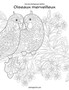 Livre de coloriage pour adultes Oiseaux merveilleux 1 : 1 by Nick Snels - Paperback