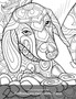 Livre de coloriage pour adultes Griffonnages meditatifs chiens 1 : 1 by Nick Snels - Paperback