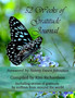 52 Weeks of Gratitude Journal by Kim Richardson - Paperback