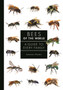 Bees of the World : A Guide to Every Family by Laurence Packer - Hardback