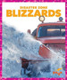 Blizzards by Cari Meister - Hardback