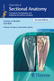 Pocket Atlas of Sectional Anatomy, Volume III: Spine, Extremities, Joints : Computed Tomography and Magnetic Resonance Imaging by Torsten Bert Moller - Paperback