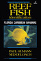 Reef Fish Identification : Florida Caribbean Bahamas by Paul Humann - Paperback