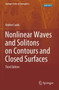 Nonlinear Waves and Solitons on Contours and Closed Surfaces by Andrei Ludu - Paperback