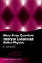 Many-Body Quantum Theory in Condensed Matter Physics : An Introduction by Henrik Bruus - Hardback