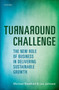 Turnaround Challenge : Business and the City of the Future by Michael Blowfield - Hardback