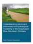 Understanding Catchment Processes and Hydrological Modelling in the Abay/Upper Blue Nile Basin, Ethiopia by Sirak Tekleab Gebrekristos - Paperback