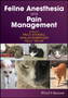 Feline Anesthesia and Pain Management by Paulo Steagall - Paperback