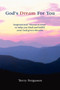God's Dream for You : Inspirational Rhyme-N-Verse to Help You Find and Fulfill Your God Given Dreams.