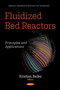 Fluidized Bed Reactors : Principles and Applications by Kristian Beike - Paperback