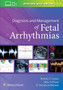 Diagnosis and Management of Fetal Arrhythmias by Bettina Cuneo - Paperback