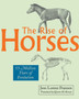 The Rise of Horses : 55 Million Years of Evolution by Jens Lorenz Franzen - Hardback