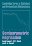 Semiparametric Regression by David Ruppert - Paperback