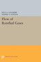 Flow of Rarefied Gases by Paul A. Chambre - Paperback