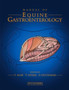 Manual of Equine Gastroenterology by Tim BVSC PhD DEIM DESTS DipECEIM MRCVS AssocECVDI Mair - Hardback