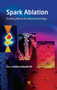 Spark Ablation : Building Blocks for Nanotechnology by Andreas Schmidt-Ott - Hardback