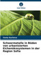 Schwermetalle in Boden von urbanisierten Eichenokosystemen in der Region Sofia by Vania Kachova - Paperback