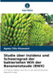 Studie uber Inzidenz und Schweregrad der bakteriellen Wilt der Bananenstaude (BWX) by Agnes Sifa Kitumaini - Paperback