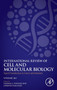 Signal Transduction in Cancer and Immunity : Volume 361 by Lorenzo Galluzzi - Hardback