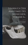 Lehrbuch Der Anatomie Des Menschen, Volume 6... by August Antinous Rauber - Hardback