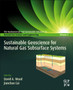 Sustainable Geoscience for Natural Gas SubSurface Systems by David Wood - Paperback