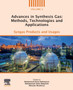 Advances in Synthesis Gas: Methods, Technologies and Applications : Syngas Products and Usages by Mohammad Reza Rahimpour - Paperback
