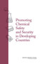 Promoting Chemical Laboratory Safety and Security in Developing Countries by National Research Council - Paperback