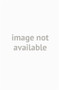 The History of Continental Philosophy