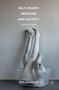 Self-Injury, Medicine and Society : Authentic Bodies by Amy Chandler - Hardback
