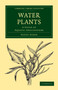 Water Plants : A Study of Aquatic Angiosperms by Agnes Arber - Paperback