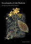 Encyclopedia of Folk Medicine : Old World and New World Traditions by Gabrielle Hatfield - Hardback