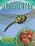 Dragonfly by John Woodward - Hardback