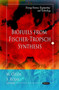 Biofuels from Fischer-Tropsch Synthesis by S Rojas - Paperback