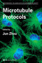 Microtubule Protocols : 137 by Jun Zhou - Paperback