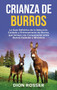 Crianza de Burros : La Guia Definitiva de la Seleccion, Cuidado y Entrenamiento de Burros, que Incluye una Comparacion entre Burros Estandar y Miniatura: La Guia Definitiva de la Seleccion, Cuidado y by Dion Rosser - Hardback