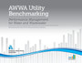 2020 AWWA Utility Benchmarking : Performance Management for Water and Wastewater by American Water Works Association - Paperback