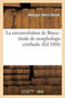 La Circonvolution de Broca: Etude de Morphologie Cerebrale by Herve-G - Paperback