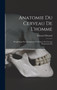 Anatomie Du Cerveau De L'homme : Morphologie Des Hemispheres Cerebraux, Ou Cerveau Proprement Dit by Edouard Brissaud - Hardback