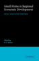 Small Firms in Regional Economic Development : Britain, Ireland and the United States by David John Storey - Paperback
