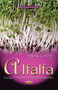 Alfalfa : Ecology, Production & Disease Management by Marie L Hirsh - Paperback