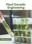 Plant Genetic Engineering by Herbert McCoy - Hardback