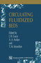 Circulating Fluidized Beds by J.R. Grace - Paperback